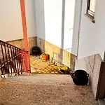 Casa Antas アパート *